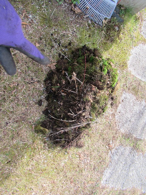 山中湖村　雨樋清掃